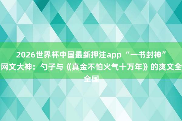 2026世界杯中国最新押注app “一书封神”的网文大神：勺子与《真金不怕火气十万年》的爽文全国