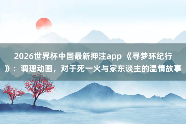 2026世界杯中国最新押注app 《寻梦环纪行》：调理动画，对于死一火与家东谈主的温情故事