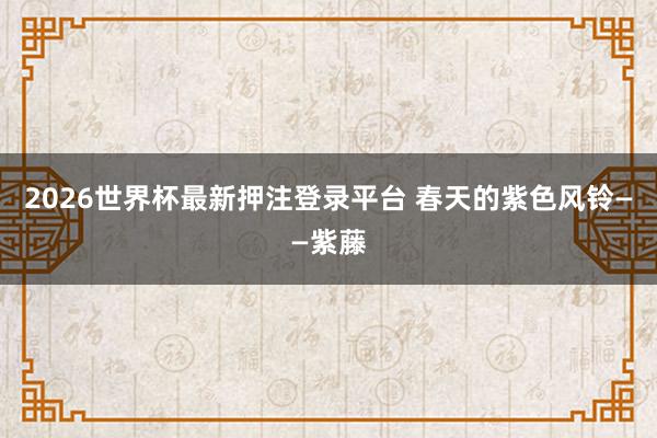 2026世界杯最新押注登录平台 春天的紫色风铃——紫藤