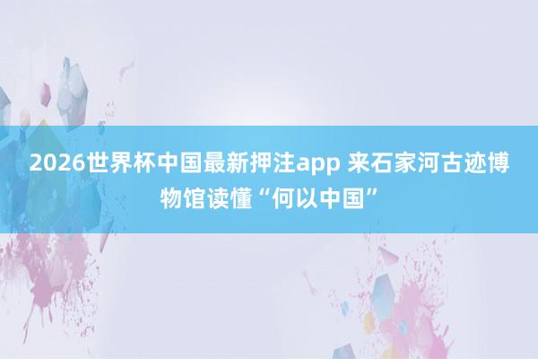 2026世界杯中国最新押注app 来石家河古迹博物馆读懂“何以中国”