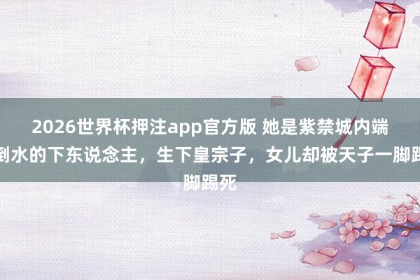 2026世界杯押注app官方版 她是紫禁城内端茶倒水的下东说念主，生下皇宗子，女儿却被天子一脚踢死
