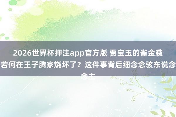 2026世界杯押注app官方版 贾宝玉的雀金裘，若何在王子腾家烧坏了？这件事背后细念念骇东说念主