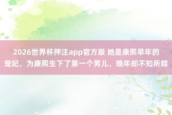2026世界杯押注app官方版 她是康熙早年的宠妃，为康熙生下了第一个男儿，晚年却不知所踪