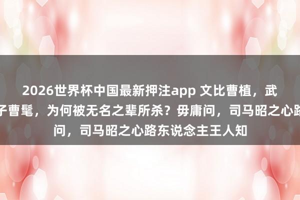2026世界杯中国最新押注app 文比曹植，武胜曹操的三国天子曹髦，为何被无名之辈所杀？毋庸问，司马昭之心路东说念主王人知