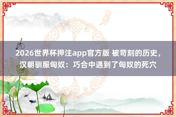 2026世界杯押注app官方版 被苛刻的历史，汉朝驯服匈奴：巧合中遇到了匈奴的死穴