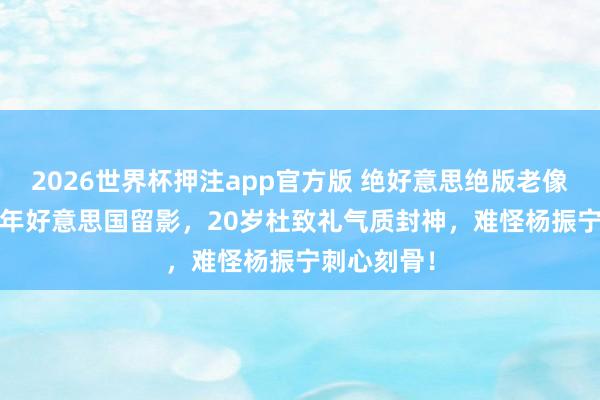 2026世界杯押注app官方版 绝好意思绝版老像片！1947年好意思国留影，20岁杜致礼气质封神，难怪杨振宁刺心刻骨！