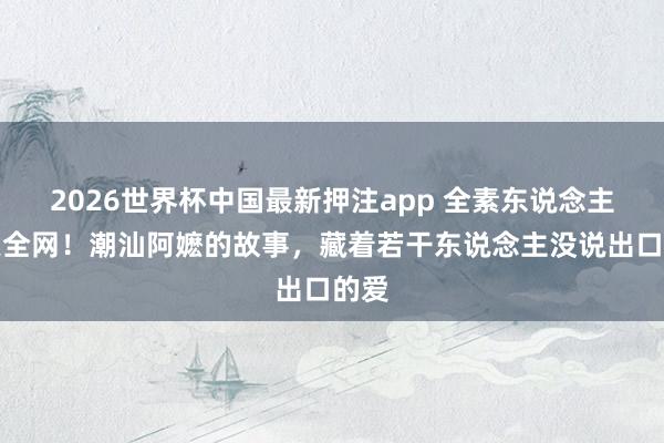 2026世界杯中国最新押注app 全素东说念主演哭全网！潮汕阿嬷的故事，藏着若干东说念主没说出口的爱