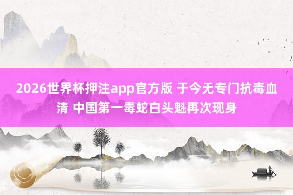 2026世界杯押注app官方版 于今无专门抗毒血清 中国第一毒蛇白头魁再次现身