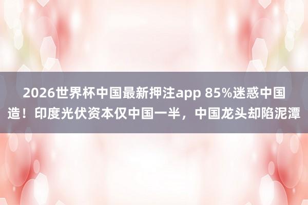 2026世界杯中国最新押注app 85%迷惑中国造！印度光伏资本仅中国一半，中国龙头却陷泥潭