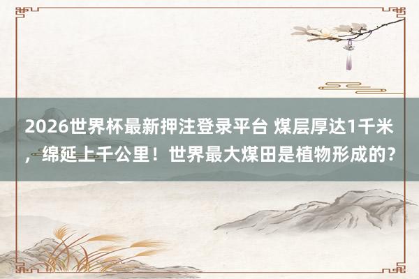 2026世界杯最新押注登录平台 煤层厚达1千米，绵延上千公里！世界最大煤田是植物形成的？