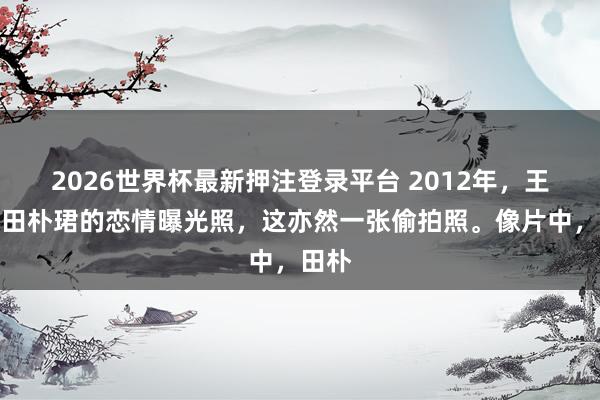 2026世界杯最新押注登录平台 2012年，王石和田朴珺的恋情曝光照，这亦然一张偷拍照。像片中，田朴
