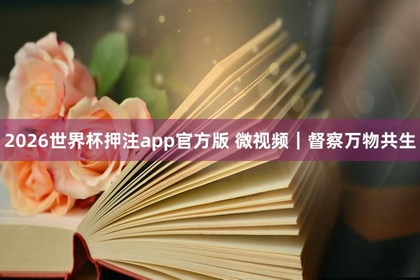 2026世界杯押注app官方版 微视频｜督察万物共生