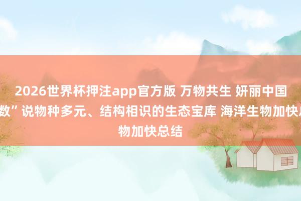 2026世界杯押注app官方版 万物共生 妍丽中国 | “数”说物种多元、结构相识的生态宝库 海洋生物加快总结