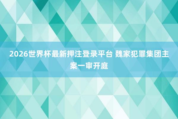 2026世界杯最新押注登录平台 魏家犯罪集团主案一审开庭