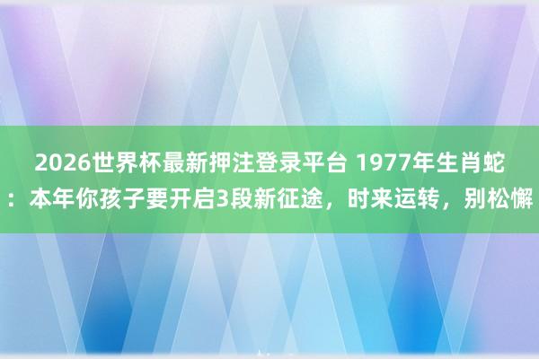 2026世界杯最新押注登录平台 1977年生肖蛇：本年你孩子要开启3段新征途，时来运转，别松懈
