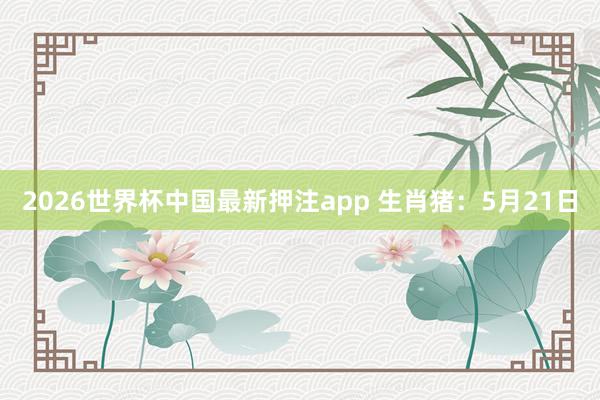 2026世界杯中国最新押注app 生肖猪：5月21日