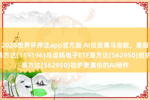 2026世界杯押注app官方版 AI投资黑马指数，港股通讯息科技ETF易方达(159196)与虚耗电子ETF易方达(562950)袒护更庸俗的AI硬件