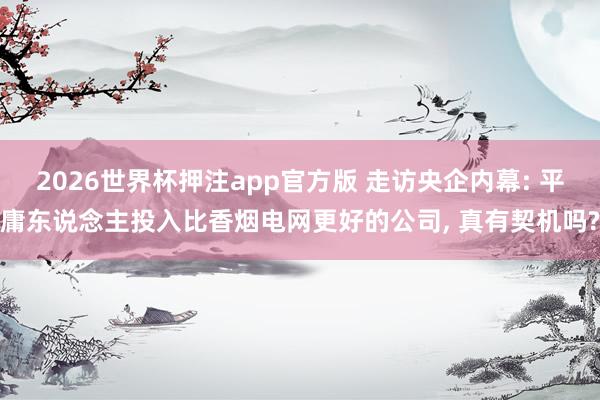 2026世界杯押注app官方版 走访央企内幕: 平庸东说念主投入比香烟电网更好的公司, 真有契机吗?