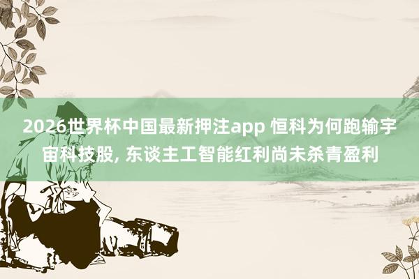 2026世界杯中国最新押注app 恒科为何跑输宇宙科技股, 东谈主工智能红利尚未杀青盈利