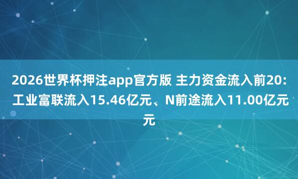 2026世界杯押注app官方版 主力资金流入前20: 工业富联流入15.46亿元、N前途流入11.00亿元