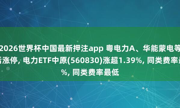 2026世界杯中国最新押注app 粤电力A、华能蒙电等午后涨停, 电力ETF中原(560830)涨超1.39%, 同类费率最低