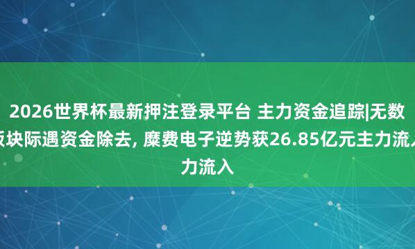 2026世界杯最新押注登录平台 主力资金追踪|无数板块际遇资金除去, 糜费电子逆势获26.85亿元主力流入
