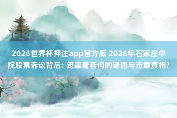 2026世界杯押注app官方版 2026年石家庄中院股票诉讼背后: 笼罩着若何的谜团与市集真相?
