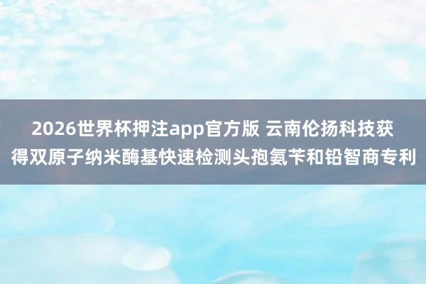 2026世界杯押注app官方版 云南伦扬科技获得双原子纳米酶基快速检测头孢氨苄和铅智商专利