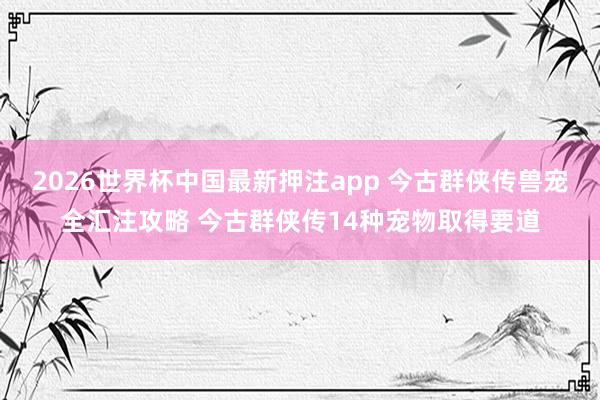 2026世界杯中国最新押注app 今古群侠传兽宠全汇注攻略 今古群侠传14种宠物取得要道