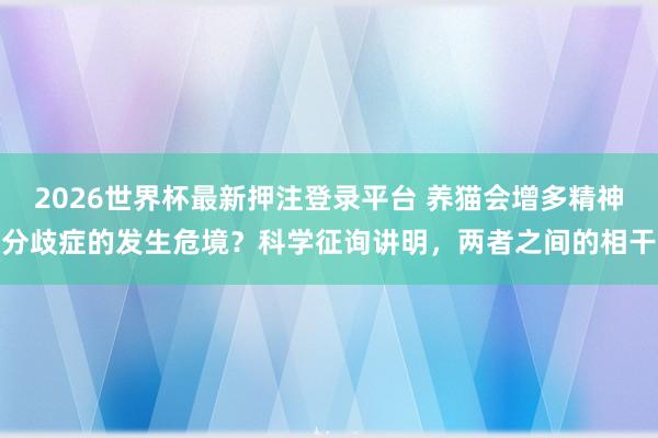 2026世界杯最新押注登录平台 养猫会增多精神分歧症的发生危境？科学征询讲明，两者之间的相干