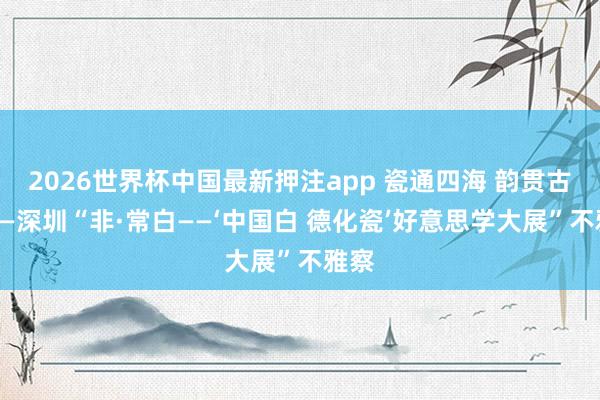 2026世界杯中国最新押注app 瓷通四海 韵贯古今——深圳“非·常白——‘中国白 德化瓷’好意思学大展”不雅察