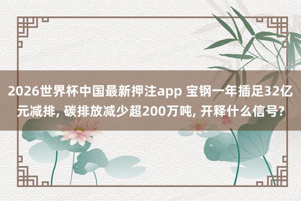 2026世界杯中国最新押注app 宝钢一年插足32亿元减排, 碳排放减少超200万吨, 开释什么信号?