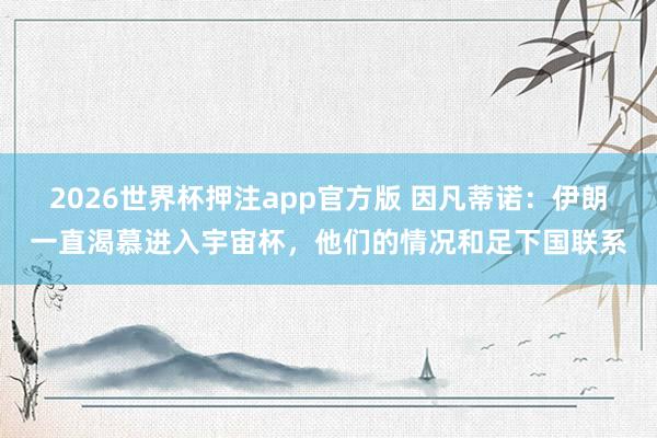 2026世界杯押注app官方版 因凡蒂诺：伊朗一直渴慕进入宇宙杯，他们的情况和足下国联系