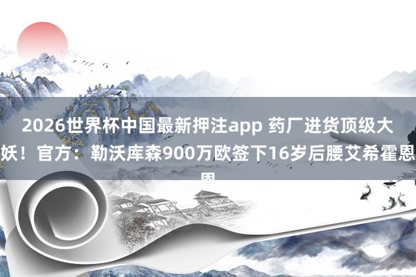 2026世界杯中国最新押注app 药厂进货顶级大妖！官方：勒沃库森900万欧签下16岁后腰艾希霍恩