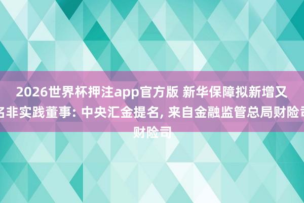 2026世界杯押注app官方版 新华保障拟新增又名非实践董事: 中央汇金提名, 来自金融监管总局财险司