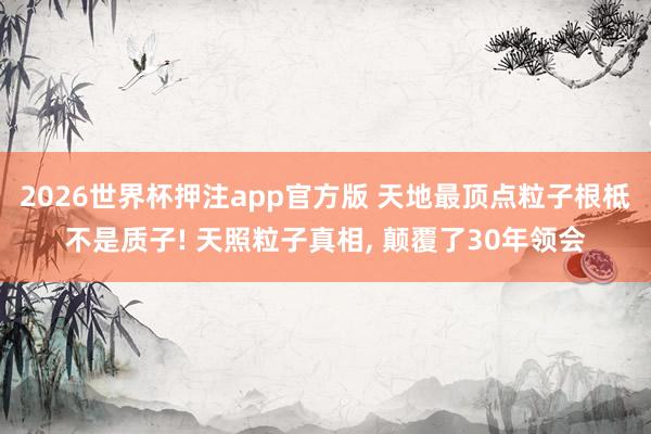 2026世界杯押注app官方版 天地最顶点粒子根柢不是质子! 天照粒子真相, 颠覆了30年领会
