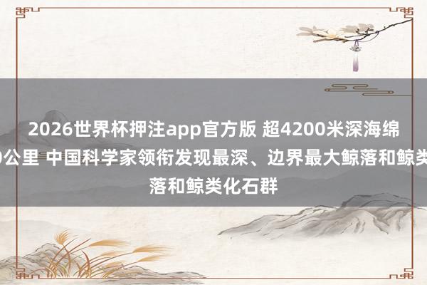 2026世界杯押注app官方版 超4200米深海绵延1200公里 中国科学家领衔发现最深、边界最大鲸落和鲸类化石群