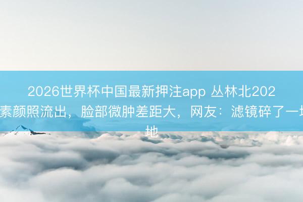 2026世界杯中国最新押注app 丛林北2026素颜照流出，脸部微肿差距大，网友：滤镜碎了一地
