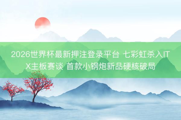 2026世界杯最新押注登录平台 七彩虹杀入ITX主板赛谈 首款小钢炮新品硬核破局