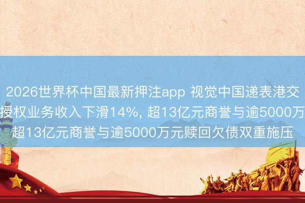 2026世界杯中国最新押注app 视觉中国递表港交所: 2025年中枢内容授权业务收入下滑14%, 超13亿元商誉与逾5000万元赎回欠债双重施压
