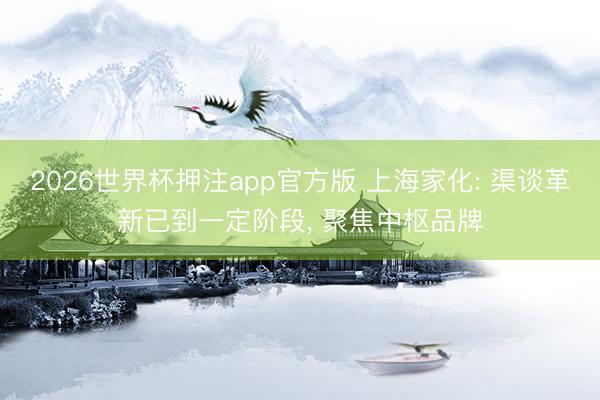 2026世界杯押注app官方版 上海家化: 渠谈革新已到一定阶段， 聚焦中枢品牌
