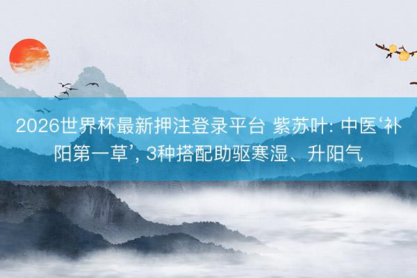 2026世界杯最新押注登录平台 紫苏叶: 中医‘补阳第一草’， 3种搭配助驱寒湿、升阳气