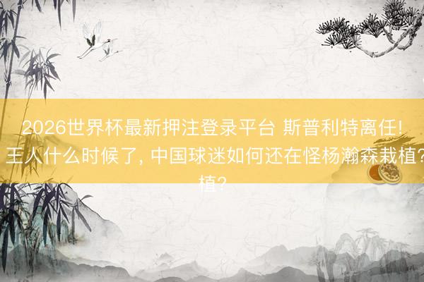 2026世界杯最新押注登录平台 斯普利特离任! 王人什么时候了， 中国球迷如何还在怪杨瀚森栽植?