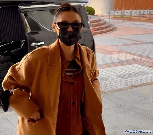 张柏芝与前牙东谈主纠纷案胜诉 合约风云终驱散