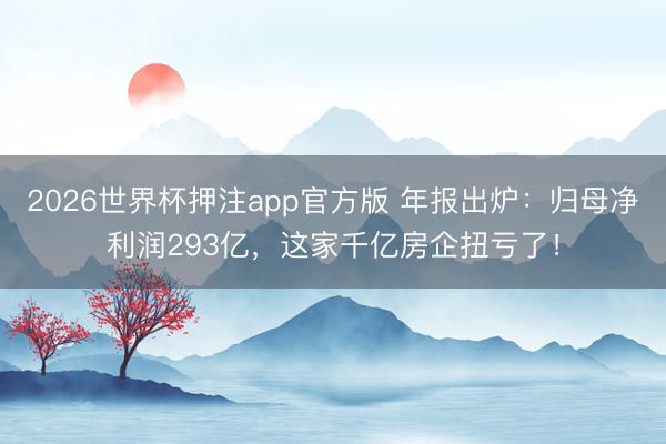 2026世界杯押注app官方版 年报出炉：归母净利润293亿，这家千亿房企扭亏了！