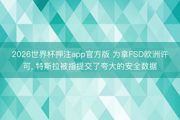 2026世界杯押注app官方版 为拿FSD欧洲许可， 特斯拉被指提交了夸大的安全数据