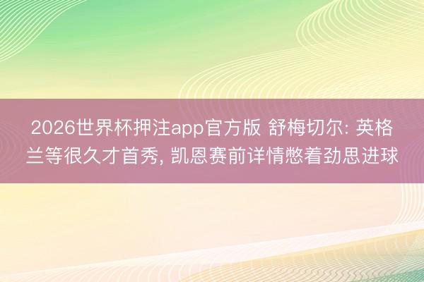 2026世界杯押注app官方版 舒梅切尔: 英格兰等很久才首秀， 凯恩赛前详情憋着劲思进球