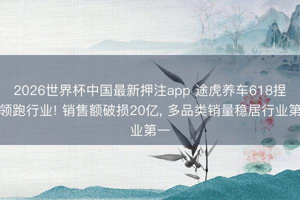 2026世界杯中国最新押注app 途虎养车618捏续领跑行业! 销售额破损20亿, 多品类销量稳居行业第一